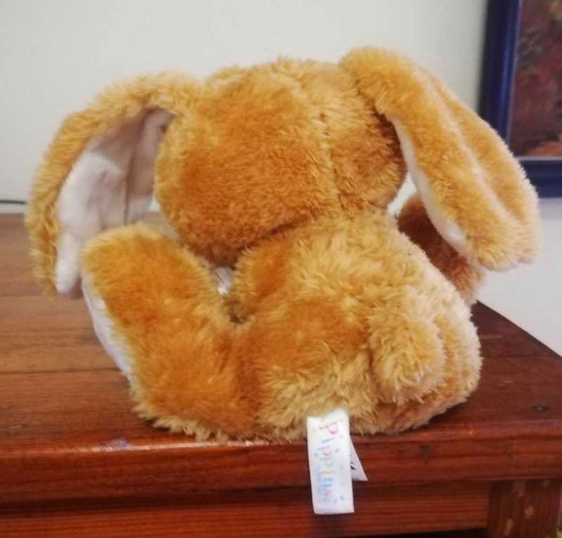 Pippins the plush, softest Bunny! 15cm.