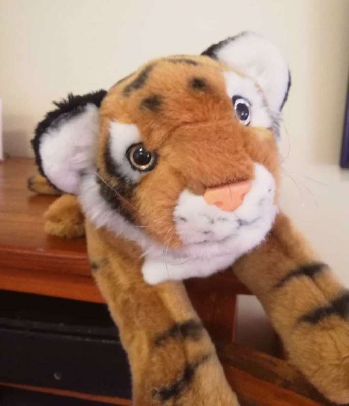 Soft touch Leosco Collection. Soft Touch Tiger Beanie Bag Toy. 20cm x 55cm.