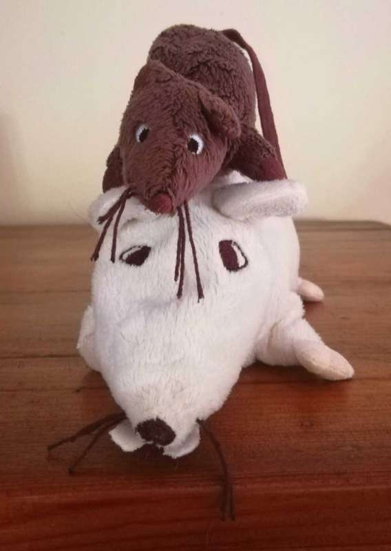 Ratty and Tatty, a White Rat and a Brown Mouse! Soft, Plush Toys.