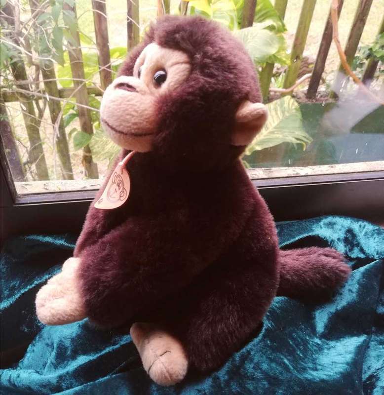 Monkey Business!  Chuckels the Super Soft Monkey!  25cm.