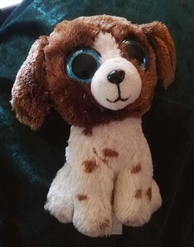 Ty Silk. Muddles the Beanie Boo White and Brown Dog. 2022. 16cm.