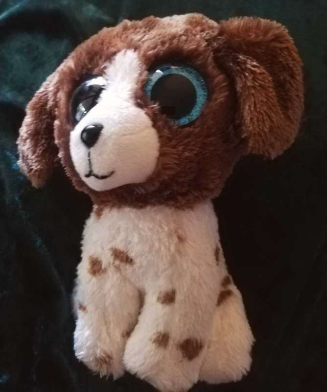 Ty Silk. Muddles the Beanie Boo White and Brown Dog. 2022. 16cm.