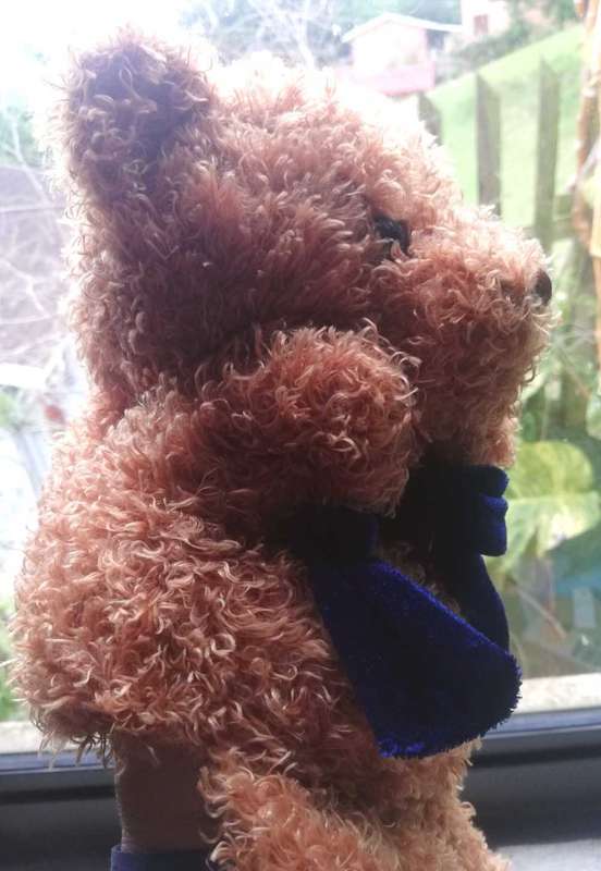 Cuddles the Bear with Blue Velvet Bow Tie. A Gorgeous Hand Puppet. 32cm.