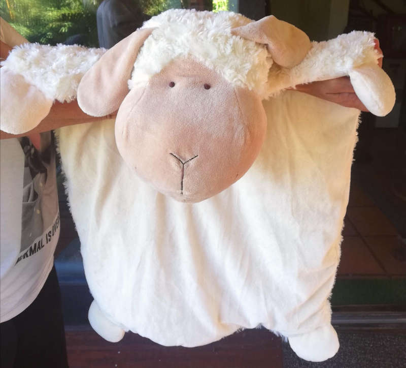 Beautiful, Baby Sheep Blanket/Comforter. Super Soft! 70cm x 50cm.