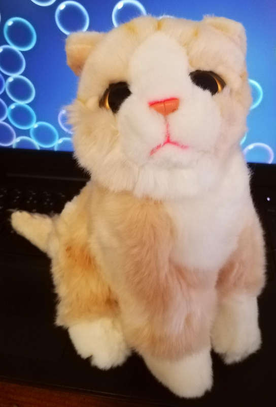 Snuggles the furry cream and white Cat. Plush toy. 22cm.
