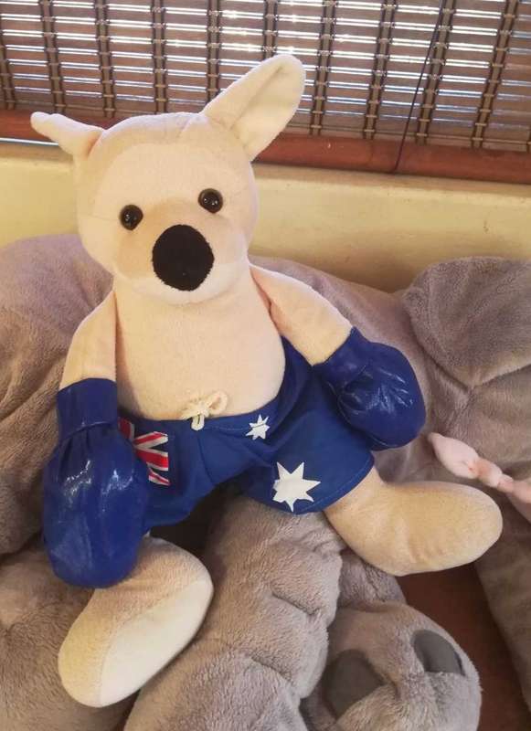 An Australia United Souvenir Boxing Kangaroo. A Plush soft toy. 40cm.