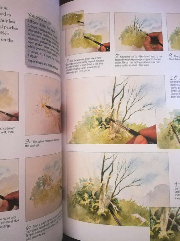 David Bellamy's Complete Guide to Watercolour Painting. Paperback. Awesome Book!