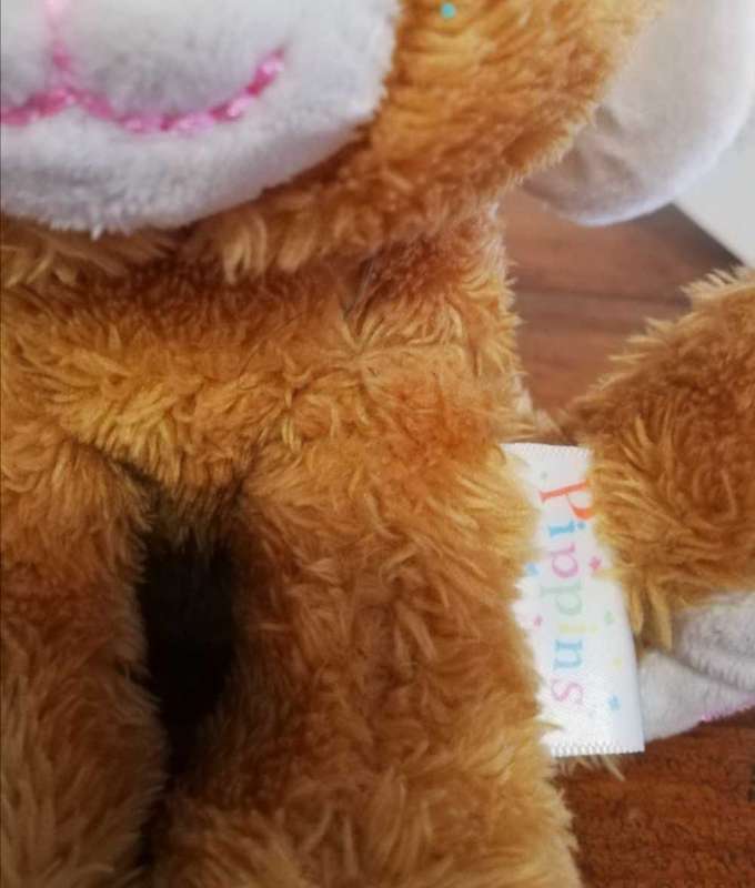 Pippins the plush, softest Bunny! 15cm.