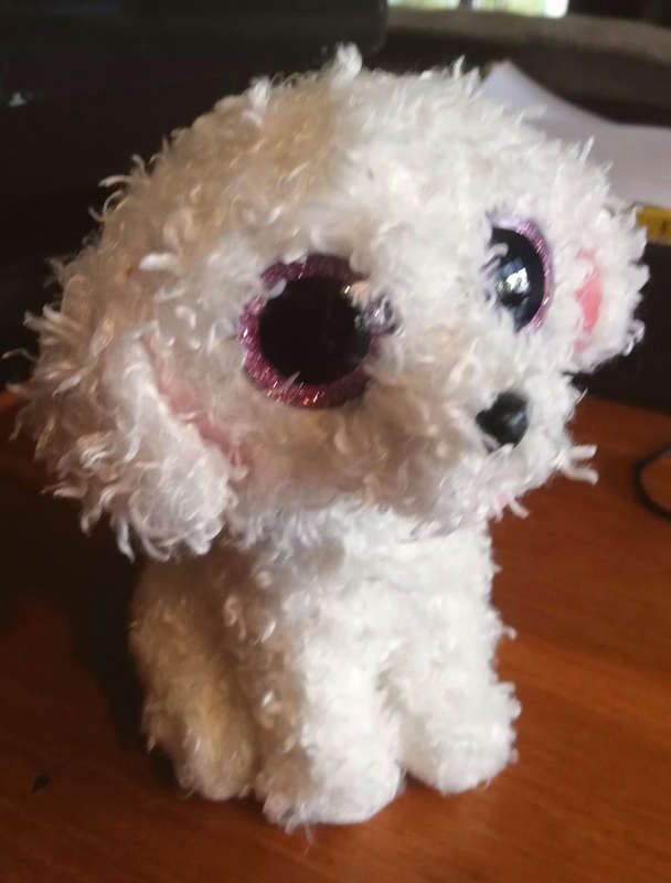 Collectable TY Beanie Boo Plush Poodle named Pippie. 15cm.