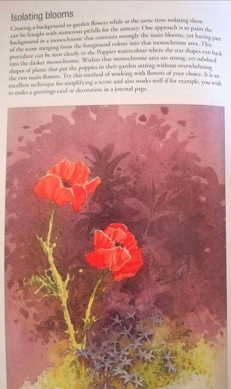 David Bellamy's Complete Guide to Watercolour Painting. Paperback. Awesome Book!