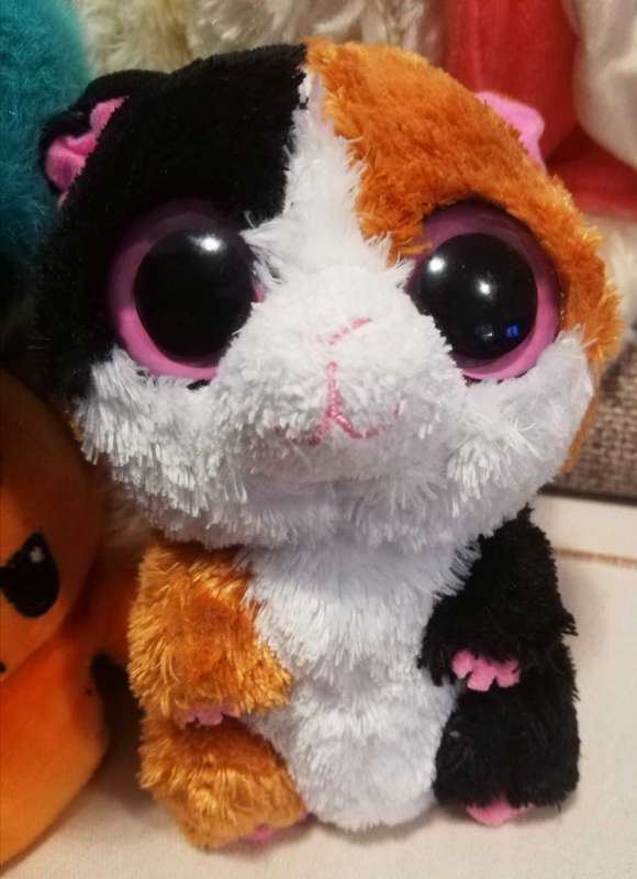 TY. Nibbles the Beanie Boo Guinea Pig. Pink solid eyes. 2011.