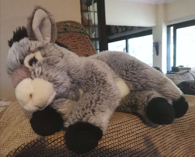 Family of 3x Donkeys. Cutest Soft Toys.