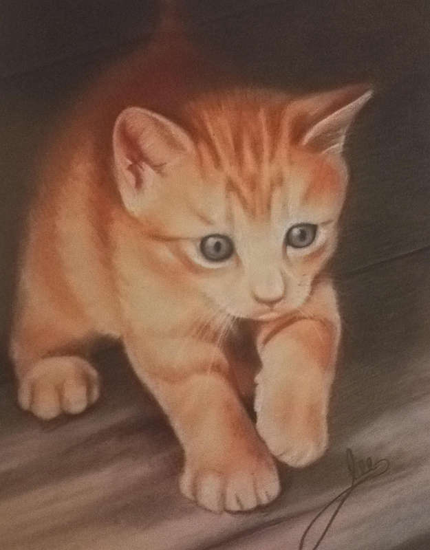 Lee Hammond's Big Book of Drawing. You can do it! Fast and easy techniques for drawing.