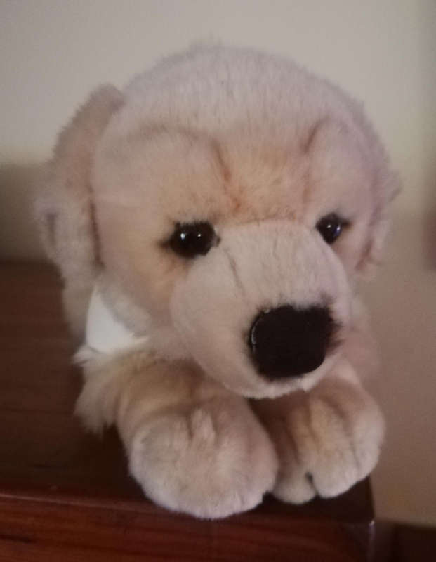 Barkley the Medic Labrador Soft Toy. An Awsome Leosco plush toy!