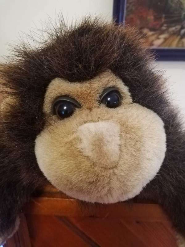 Gizmo the Gorilla. Cute, plush soft toy. 28cm.
