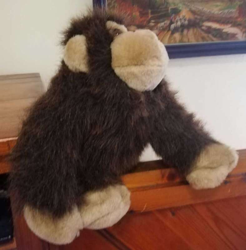 Gizmo the Gorilla. Cute, plush soft toy. 28cm.