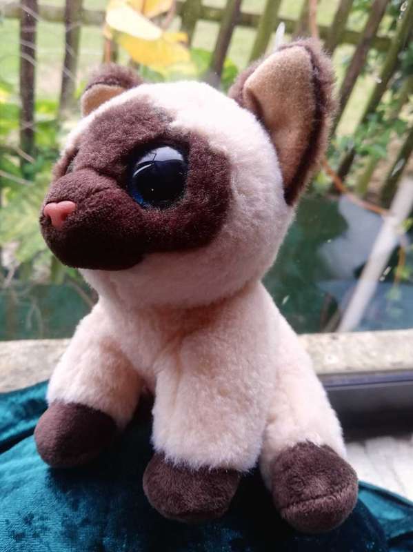 RARE TY Beanie Boo Velvety Plush - Jaden Siamese Cat. Soft Toy. 17cm.