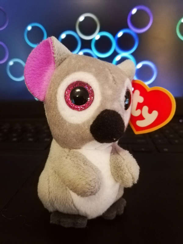 TY Teenie Beanie Boo named Kookoo the Koala. McDonald's Collectable Happy Meal Toy.