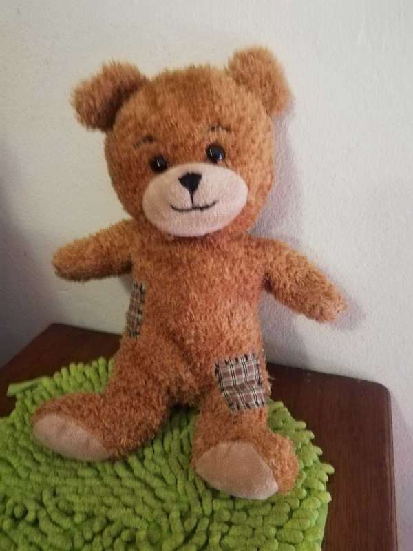 Patch the Migros Teddy. Soft, cute plush toy. 28cm.