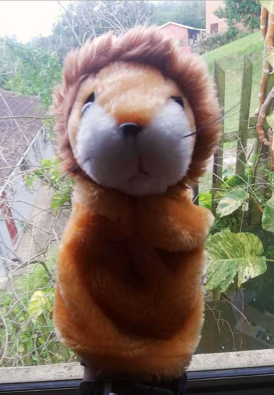 Lucky the Lion. A cute Hand Puppet. 25cm.