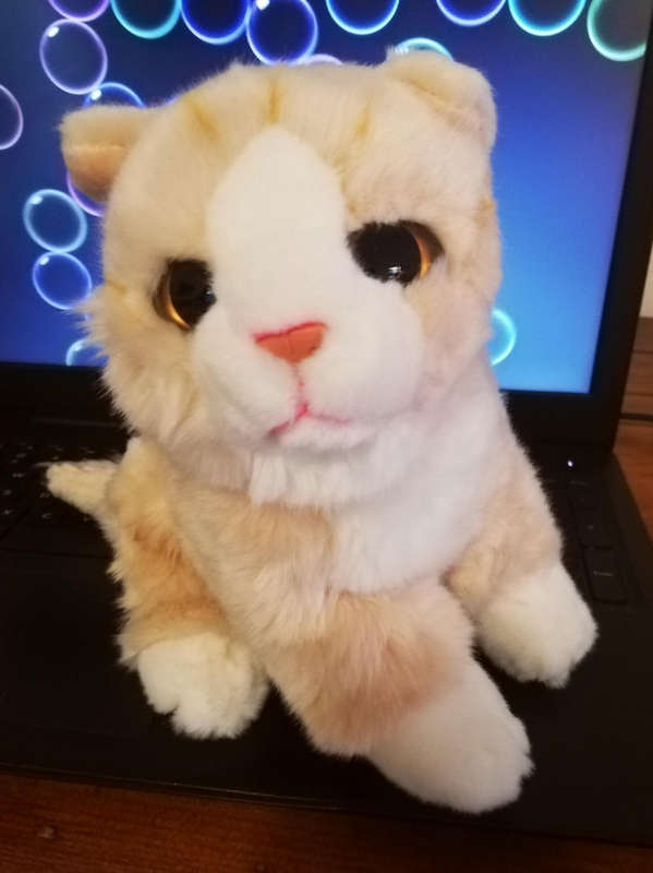 Snuggles the furry cream and white Cat. Plush toy. 22cm.