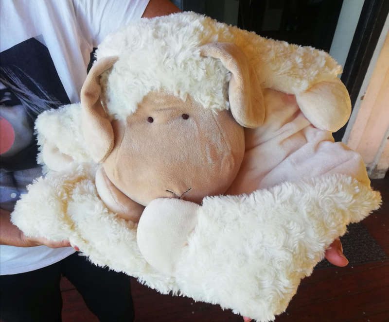 Beautiful, Baby Sheep Blanket/Comforter. Super Soft! 70cm x 50cm.