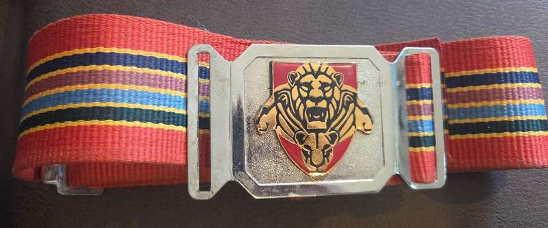 Stable belt pride of lions