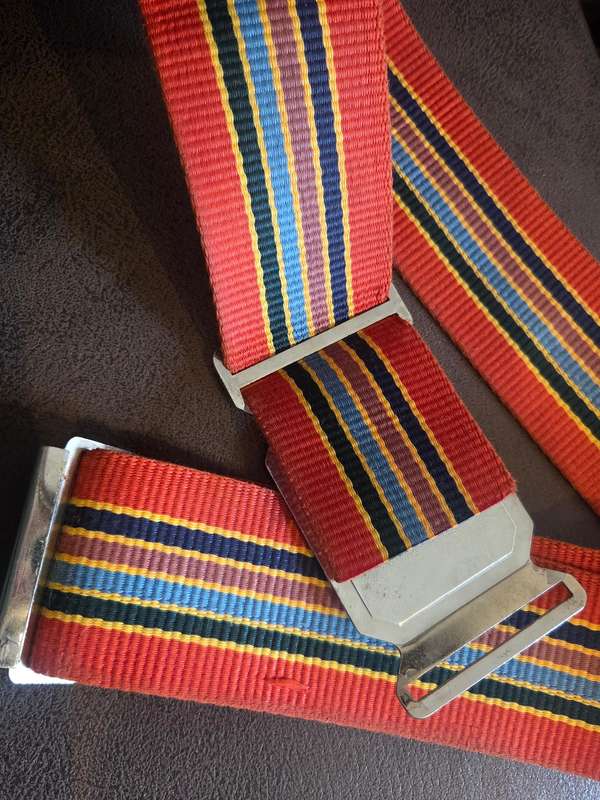 Stable belt pride of lions