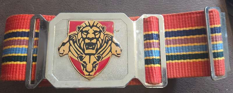 Stable belt pride of lions