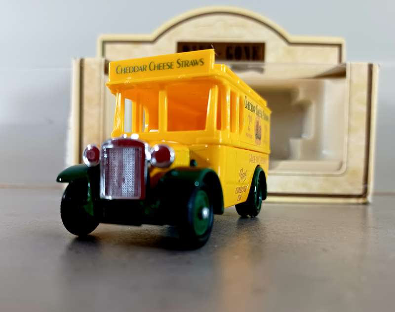 MODEL: DENNIS  "Cheddar Cheese" Liedo  Days Gone Yellow (MOD049)