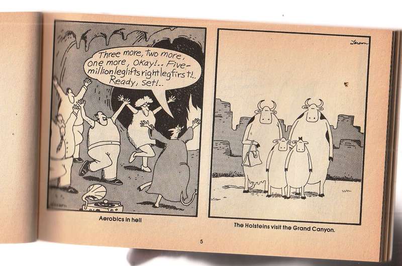 Valley of the far side - Gary Larson 1984