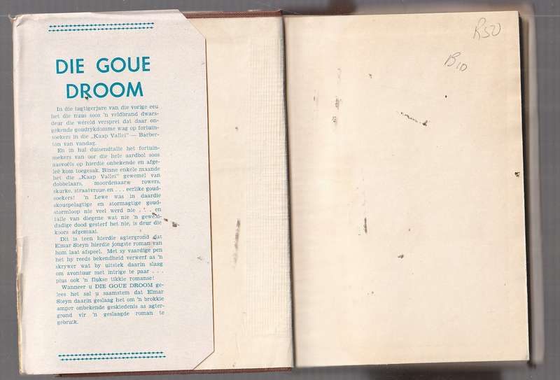 Die Goue droom - Elmar Steyn - N verhaal uit die goud stormloop era