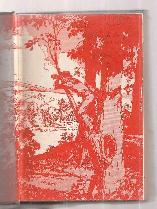 The Mystery of Cabin Island - Franklin W Dixon - Hardy Boys - Grosset & Dunlap Edition