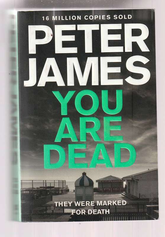 You are dead - Peter James - Jamie hears that Logan screams then her phone went dead