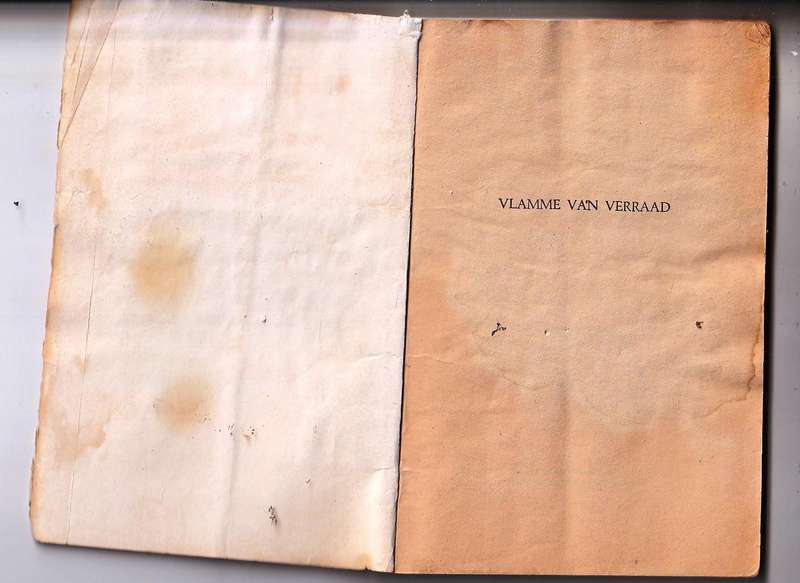 Vlamme van Verraad - Meiring Fouche - Swart Luiperd 47 - Pronk