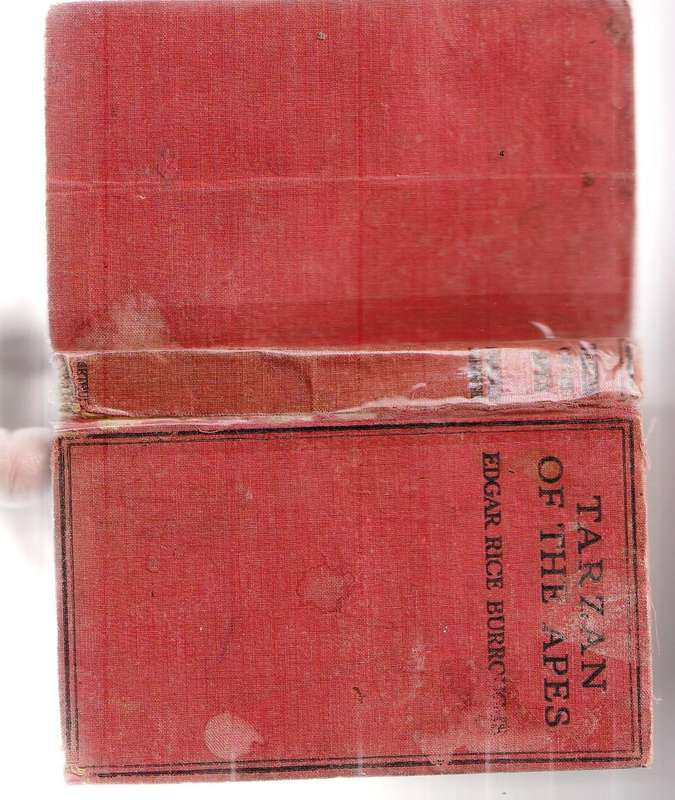 Tarzan of the Apes - ER burroughs - 1920 Edition - Over 100 years old