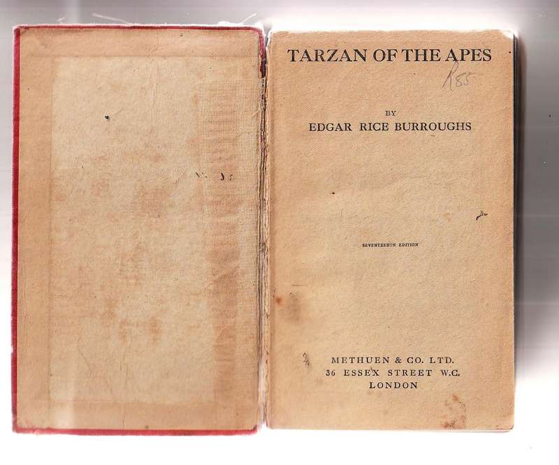 Tarzan of the Apes - ER burroughs - 1920 Edition - Over 100 years old