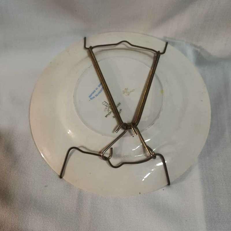 Staffordshire Rose sideplate wall hanging