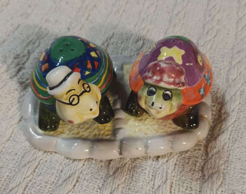 Tortoise salt and pepper set