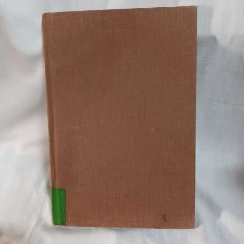 It happened in Pinsk. Children's book