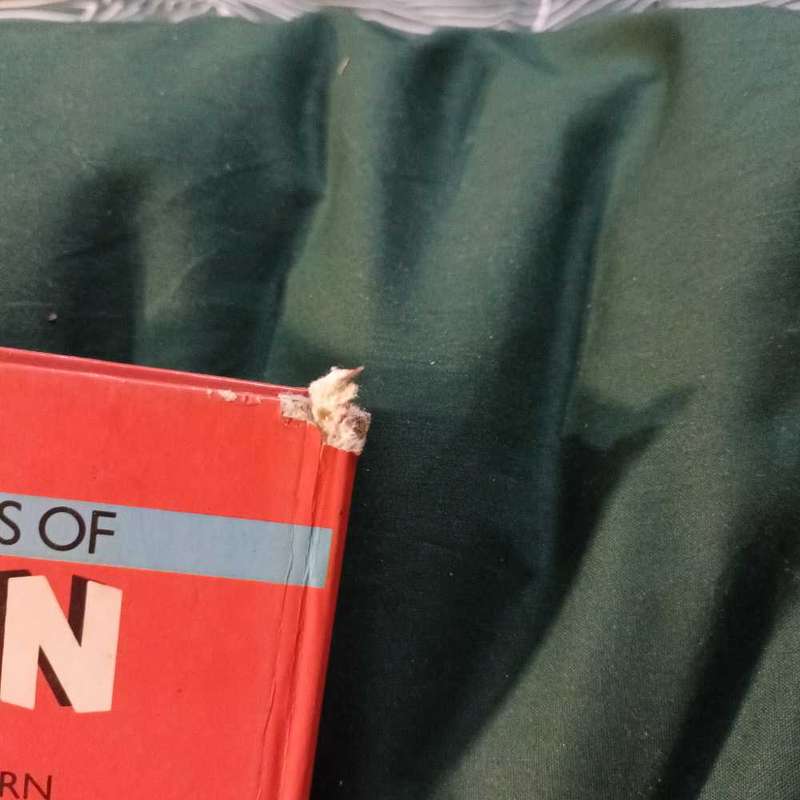 The Adventures of TinTin