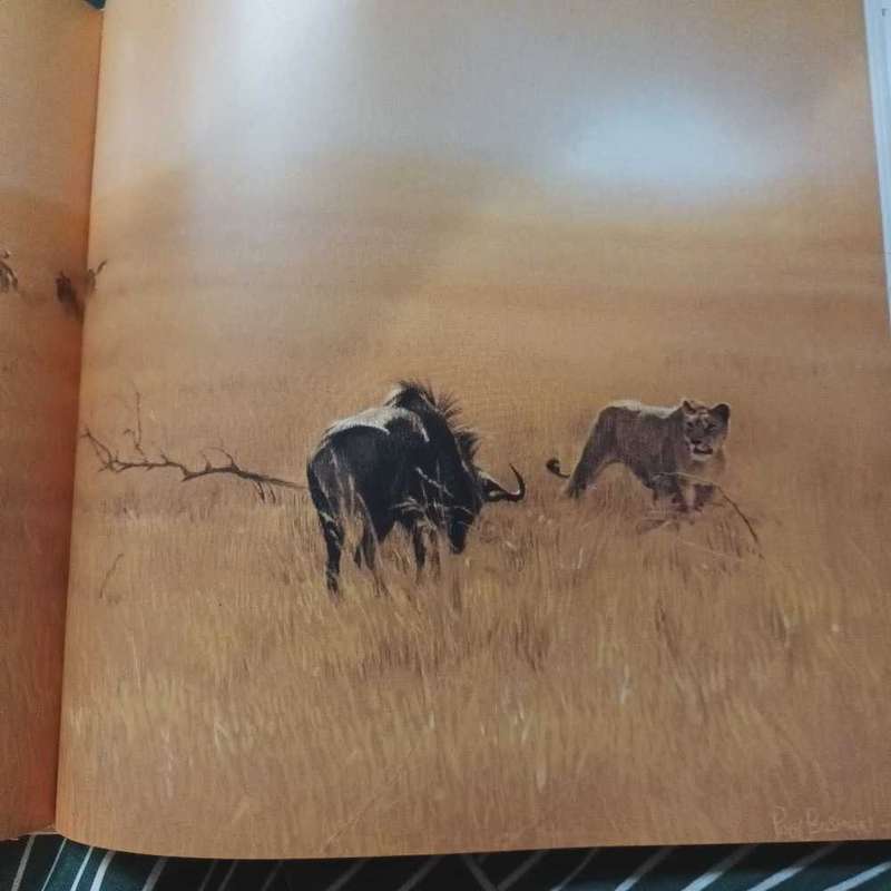 Cats of Africa. Bosman & Martin