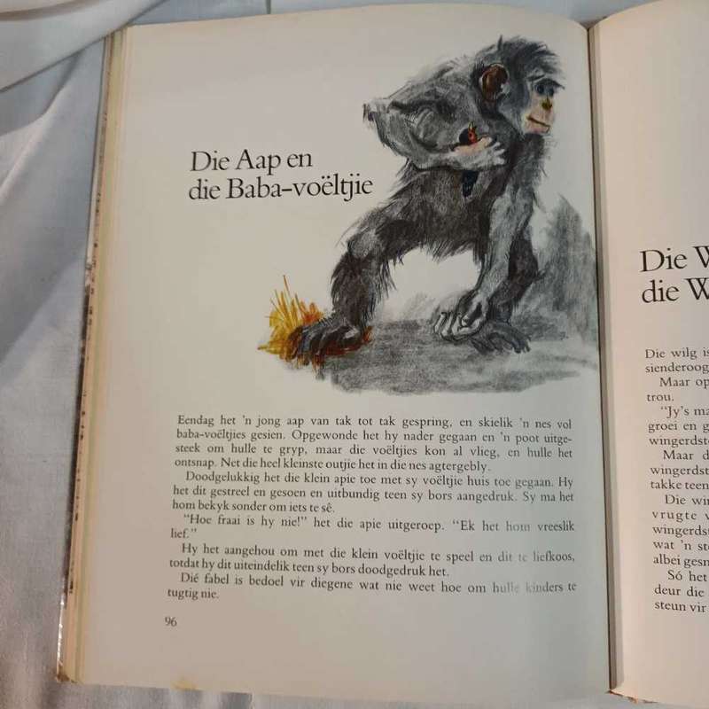 Leonardo da Vinci. Fables en Legendes. Afrikaans children's book