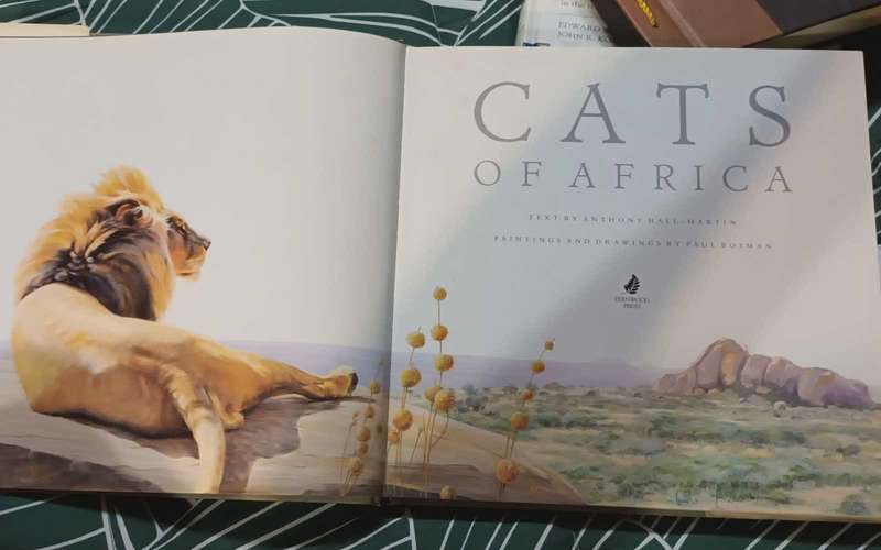 Cats of Africa. Bosman & Martin