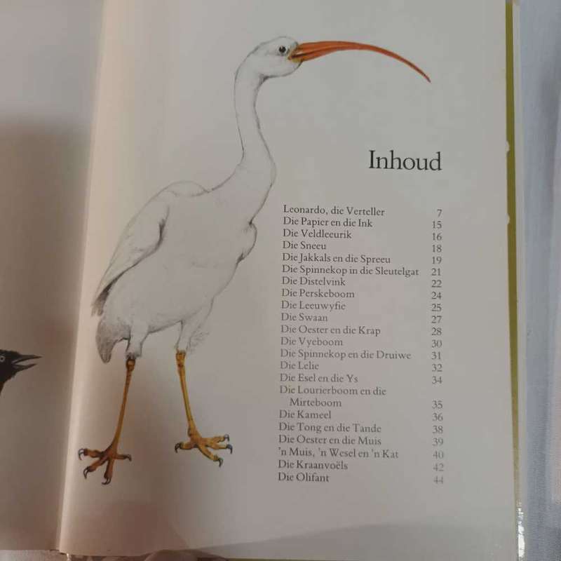 Leonardo da Vinci. Fables en Legendes. Afrikaans children's book