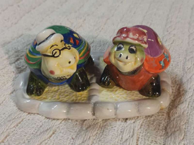 Tortoise salt and pepper set