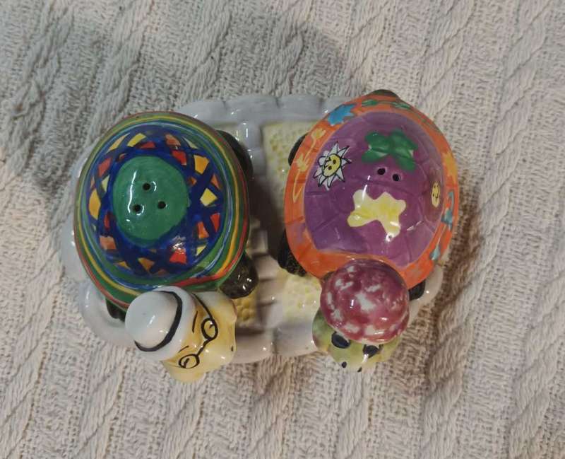 Tortoise salt and pepper set