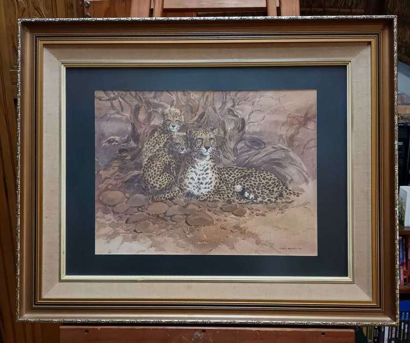 Theo Bester cheetah watercolour