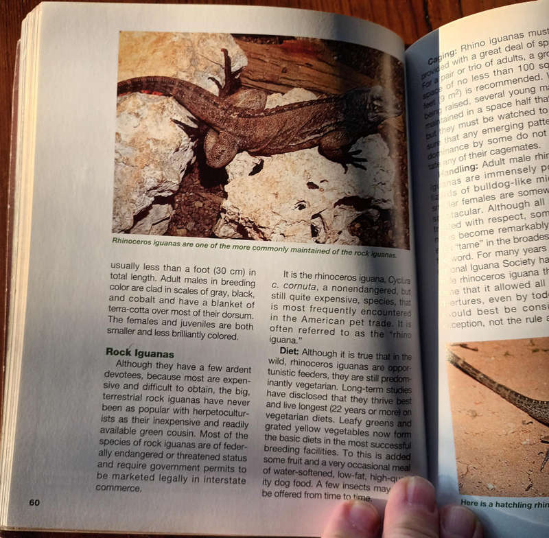 The Iguana Handbook