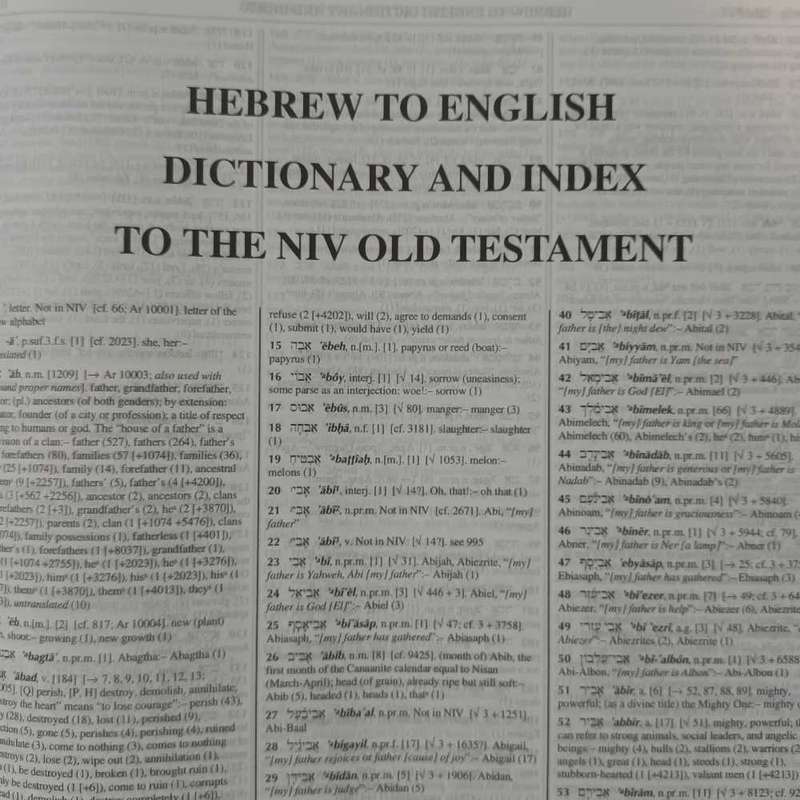The Strongest NIV Exhaustive Concordance
